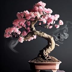 Bonsai tree seeds for sale  Delivered anywhere in USA 