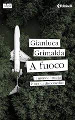 Fuoco. brucia è usato  Spedito ovunque in Italia 