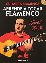 Guitar flamenca. aprende usato  Spedito ovunque in Italia 