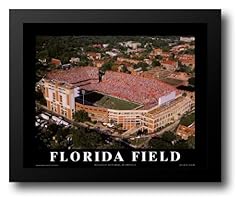 Florida field 32x26 for sale  Delivered anywhere in USA 