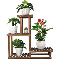 Coogou wood plant for sale  Delivered anywhere in USA 