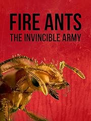 Fire ants invincible for sale  Delivered anywhere in UK
