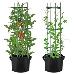Packs inches tomato for sale  Delivered anywhere in USA 