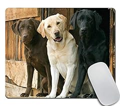 Amcove funny mouse for sale  Delivered anywhere in USA 