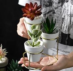 Generic three pot for sale  Delivered anywhere in USA 