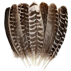 Natural wild turkey for sale  Delivered anywhere in USA 