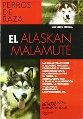 Alaskan malamute usato  Spedito ovunque in Italia 