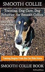 Smooth collie training for sale  Delivered anywhere in UK