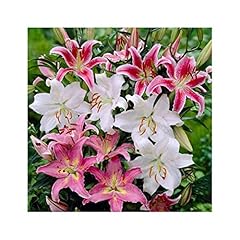 Garthwaite nurseries stockist. for sale  Delivered anywhere in UK