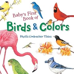 Baby first book for sale  Delivered anywhere in USA 