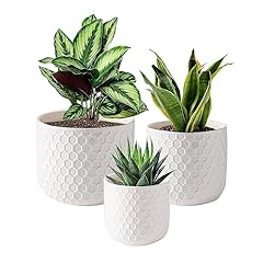 Docrin pots indoor for sale  Delivered anywhere in USA 