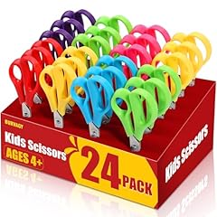 Burvagy 24pack 5.5 for sale  Delivered anywhere in USA 