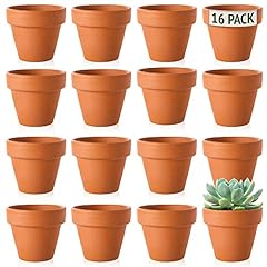 Mini Terracotta Plant Pots (5cm) Small Plant and Flower for sale  Delivered anywhere in UK