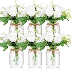 Set mason jar for sale  Delivered anywhere in USA 