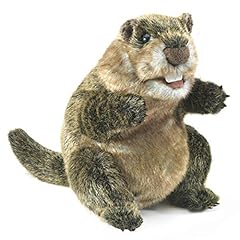 Sinoeem folkmanis groundhog for sale  Delivered anywhere in UK