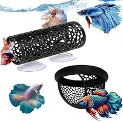 2pcs betta fish for sale  Delivered anywhere in UK