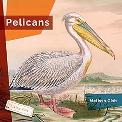 Pelicans for sale  Delivered anywhere in USA 