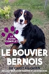 Bouvier bernois chiot d'occasion  Livré partout en France