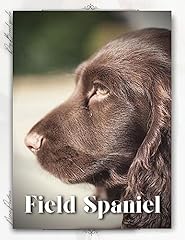 Field spaniel dog for sale  Delivered anywhere in UK
