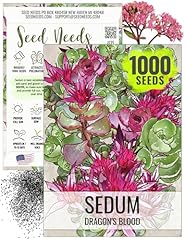 Seed needs sedum for sale  Delivered anywhere in USA 