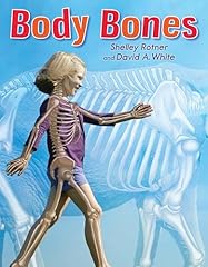 Body bones for sale  Delivered anywhere in UK