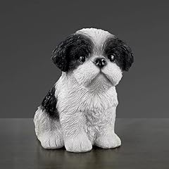 Cute shih tzu for sale  Delivered anywhere in USA 