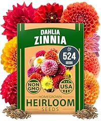 Home grown zinnia for sale  Delivered anywhere in USA 