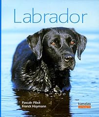 Labrador d'occasion  Livré partout en France