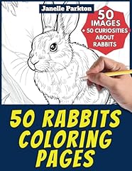 Rabbits coloring pages for sale  Delivered anywhere in USA 