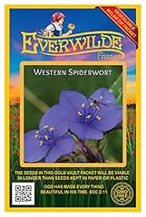 Everwilde farms 200 for sale  Delivered anywhere in USA 