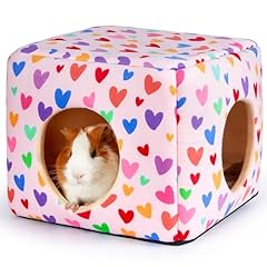 Hedgeink guinea pig for sale  Delivered anywhere in UK