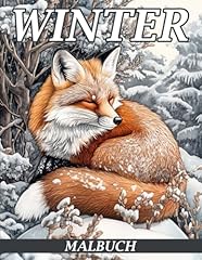 Winter malbuch zauberhafte gebraucht kaufen  Wird an jeden Ort in Deutschland