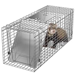 Zeny live animal for sale  Delivered anywhere in USA 