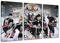 Nürnberg eishockey fan gebraucht kaufen  Wird an jeden Ort in Deutschland
