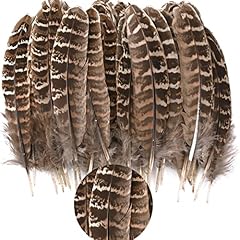 50pcs pheasant feathers for sale  Delivered anywhere in UK