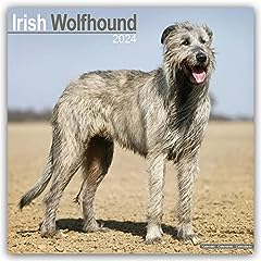 Irish wolfhound calendar for sale  Delivered anywhere in UK