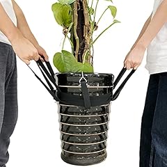 Kelendle potted plant for sale  Delivered anywhere in USA 