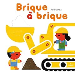 Brique brique d'occasion  Livré partout en Belgiqu