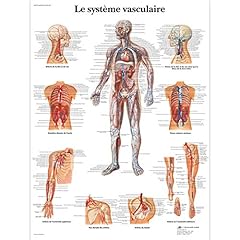 Scientific vr2353l planche d'occasion  Livré partout en France