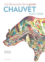 Découverte grotte chauvet d'occasion  Livré partout en France