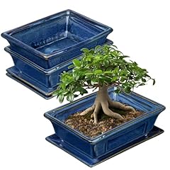 Oairse set shallow for sale  Delivered anywhere in UK