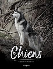 Chiens fidèles courageux d'occasion  Livré partout en Belgiqu