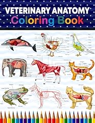 Veterinary anatomy coloring for sale  Delivered anywhere in UK