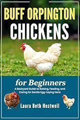 Buff orpington chickens for sale  Delivered anywhere in USA 