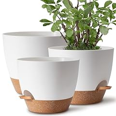 Tymensh plant pots for sale  Delivered anywhere in USA 