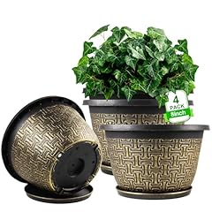 Inch plant pots for sale  Delivered anywhere in USA 