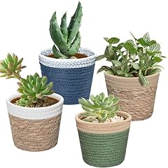 Set decorative cache for sale  Delivered anywhere in USA 