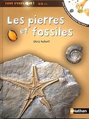 pierres fossiles d'occasion pierres fossiles d'occasion Livré partout en France