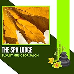 Spa lodge luxury for sale  Delivered anywhere in UK