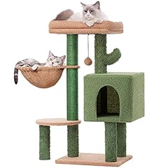 Meowsir cactus cat for sale  Delivered anywhere in USA 